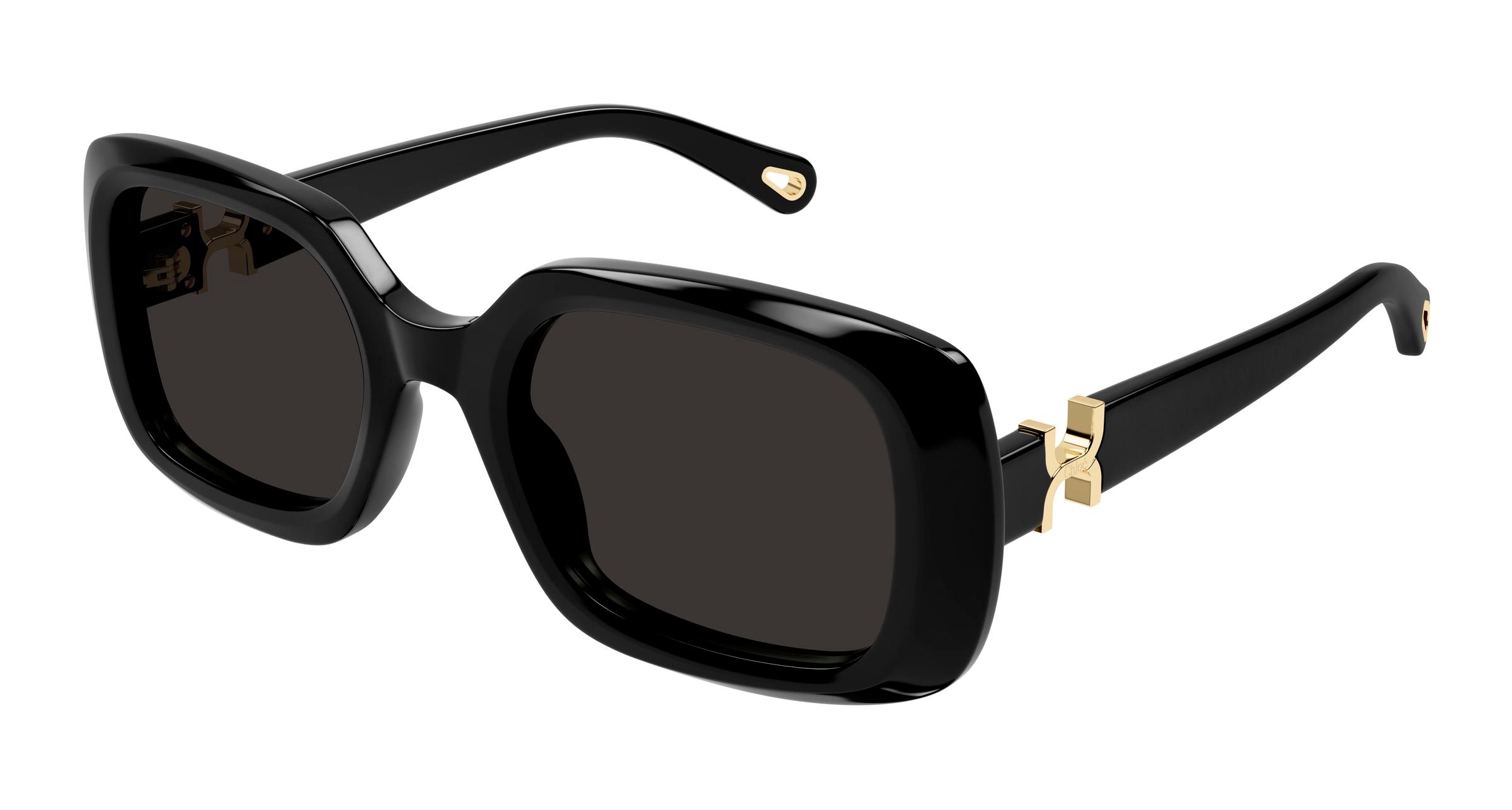 Chloé CH0333S – Black / Grey