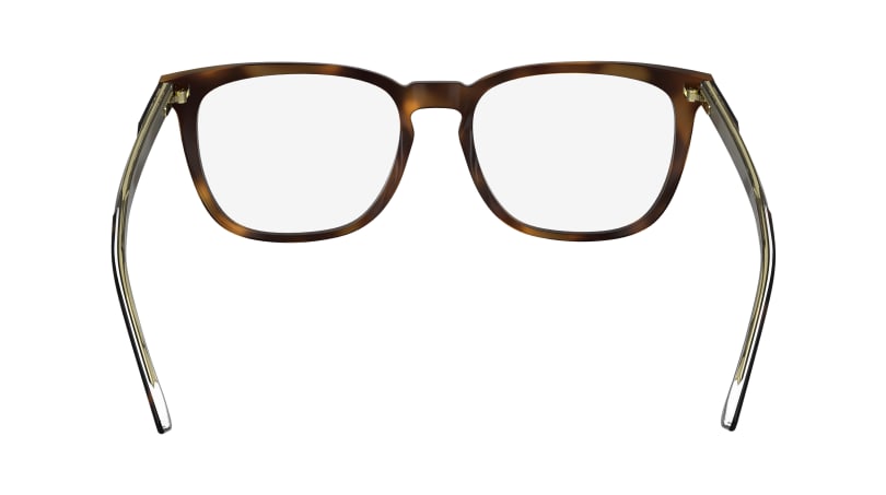 Calvin Klein CK24519 Havana