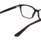 Calvin Klein  CK23516 Brown